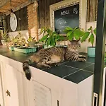 Alojamento de Acomodação e Pequeno-almoço Oliva - -
