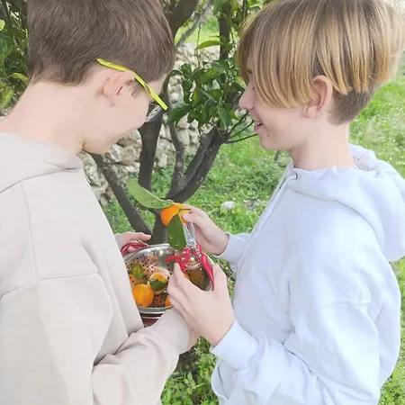 לינה וארוחת בוקר Oliva Bolulla