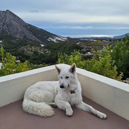 Bed & Breakfast Oliva *
