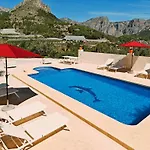 Oliva - -