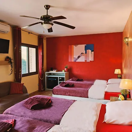 Bed & Breakfast Oliva 4*