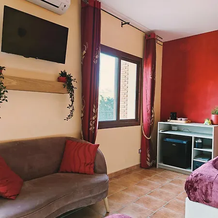 فندق مبيت وإفطار Oliva - - Bolulla