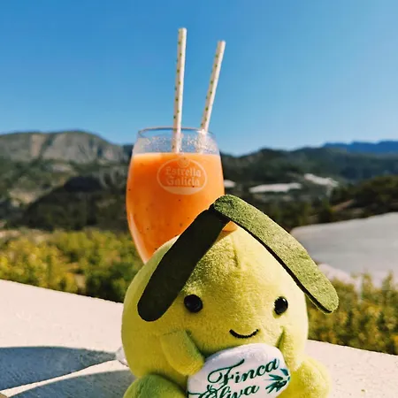 Bed & Breakfast Oliva Bolulla