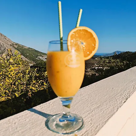 Bed & Breakfast Oliva