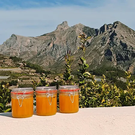 Oliva Bed & Breakfast 4*