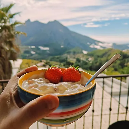 Bed & Breakfast Oliva