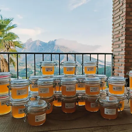 Bed & Breakfast Oliva