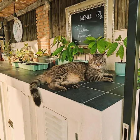 Bed & Breakfast Oliva - -
